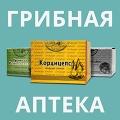 Грибная аптека