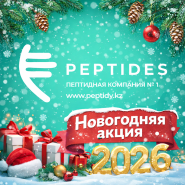 Новогодняя распродажа 2026