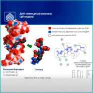 Статья о пептидных биорегуляторах